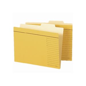 (まとめ) ライオン事務器個別フォルダー B6-2判 B6-2-IF-R 1セット(10冊) 【×3セット】