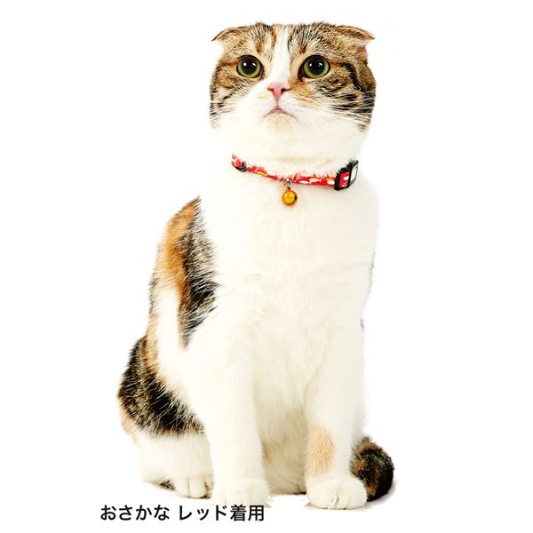 (まとめ)Anycat カラー おさかな ブルー【×3セット】 (猫用品/首輪)【代引不可】