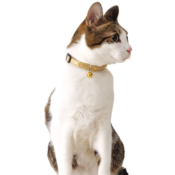 (まとめ)CAT COLLAR ゴージャスカラー ゴールド【×3セット】 (猫用品/首輪)【代引不可】