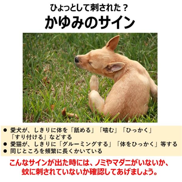 (まとめ)ペット用アース渦巻AC 48巻入【×3セット】 (犬猫用品)【代引不可】