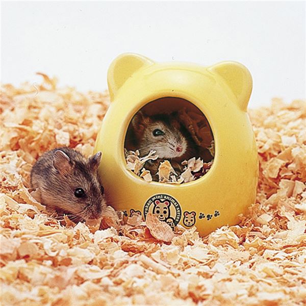 (まとめ)ジャンガリアンのおへや【×5セット】 (小動物用品/ゲージ)【代引不可】