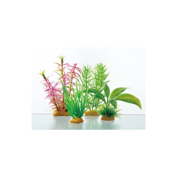 (まとめ)癒し水景 ボトルプランツ ミリオフィラム【×3セット】 (観賞魚/水槽用品)【代引不可】