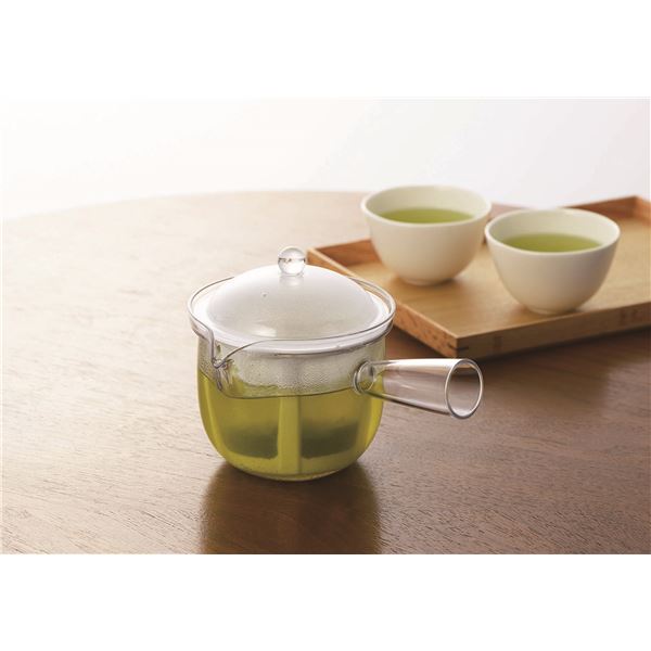 クリアティーポット L ポリエステルメッシュ 急須タイプ480ml TW-3741