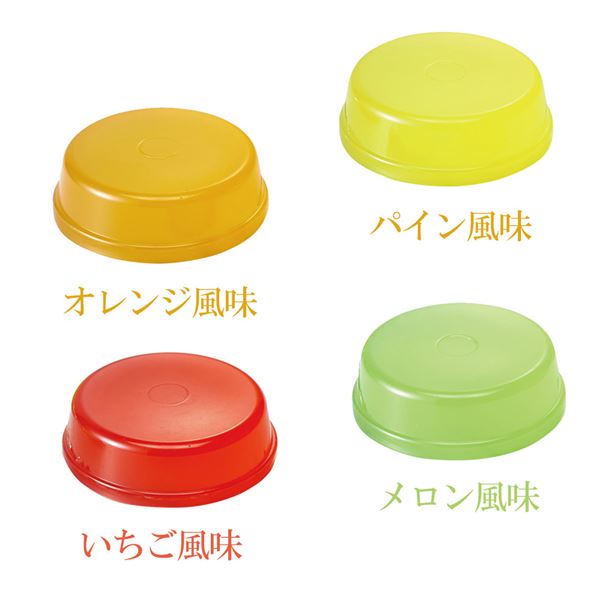 (まとめ) フルーツ農園 フラット 55 55個入 【×3セット】 昆虫フード【代引不可】