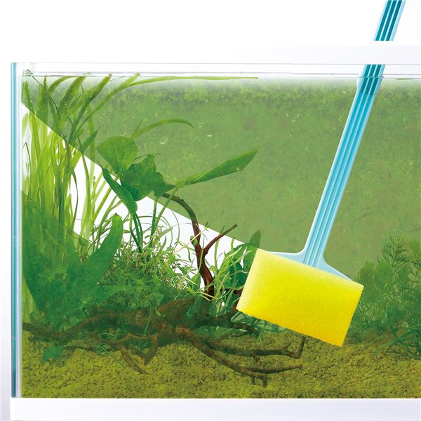 (まとめ)おそうじラクラク アルジー90パワー【×5セット】 (観賞魚/水槽用品)【代引不可】