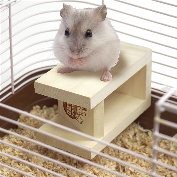 (まとめ)あっちもこっちもかじり木スタンド【×5セット】 (小動物用品/玩具)【代引不可】