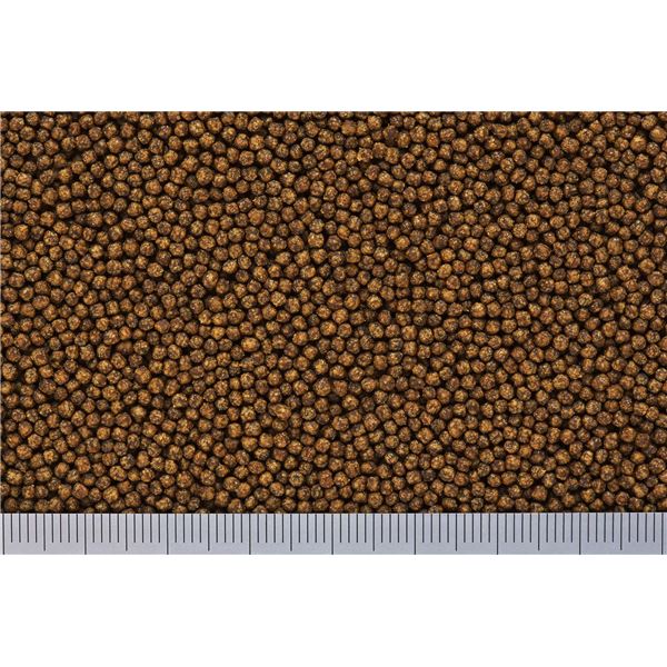 (まとめ)キョーリン リュウキンゴールド 200g 金魚用フード 【×3セット】【代引不可】
