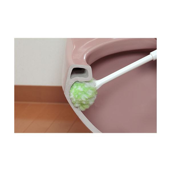 (まとめ) サンコーびっくりフレッシュ コーティング用トイレクリーナー グリーン BF-65 1本 【×3セット】