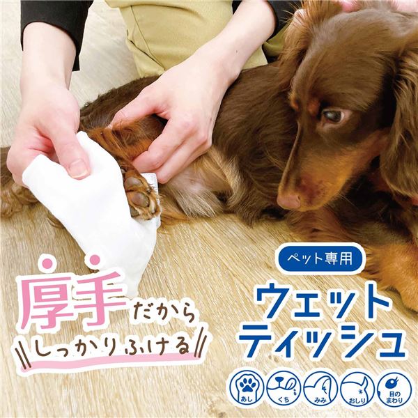 (まとめ) ペット専用ウェットティッシュ 保湿成分プラス60枚 (ペット用品) 【×5セット】【代引不可】