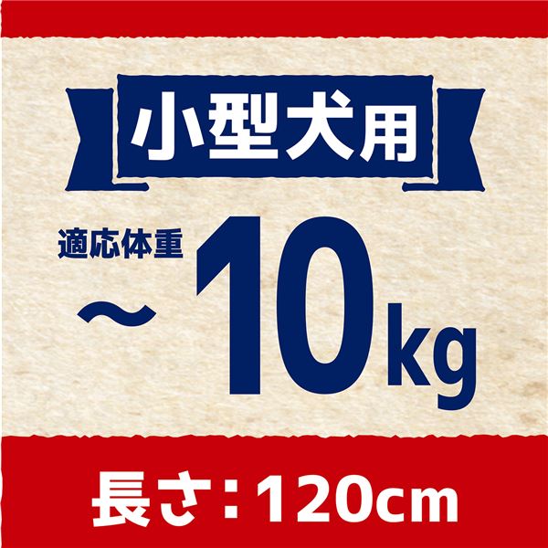 (まとめ)メリカジ スターリード S レッド【×3セット】 (犬用品/リード)【代引不可】