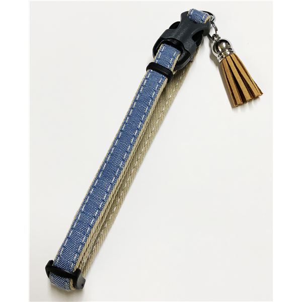 (まとめ)ダニエルカラー XS ブルー【×2セット】 (犬用品/首輪)【代引不可】