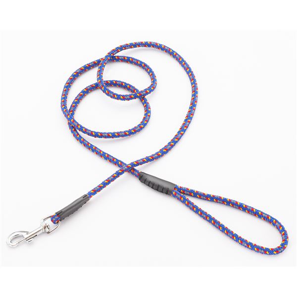 (まとめ)ネオンリード 10mm ブルー【×3セット】 (犬用品/リード)【代引不可】