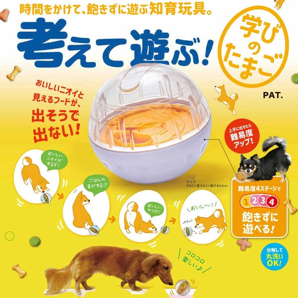 (まとめ) DoggyMan 考えて遊ぶ!学びのたまご 【×3セット】 (ペット用品)【代引不可】