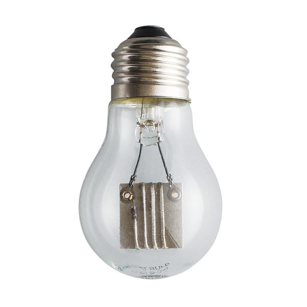 (まとめ)保温電球 20W【×2セット】 (小動物用品)【代引不可】