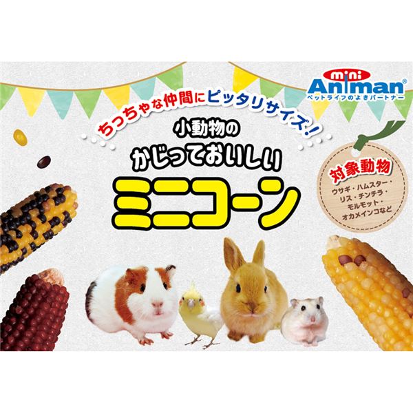 (まとめ)ドギーマンハヤシ 小動物のかじっておいしい ミニコーン 200g 小動物フード 【×3セット】【代引不可】