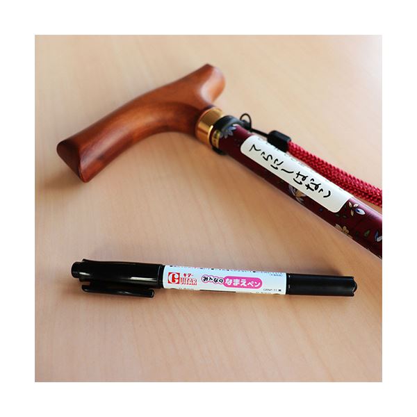 (まとめ) 寺西化学 ギターみんなのなまえペン 極細+細字 黒 GRNP-T1 1本 【×10セット】