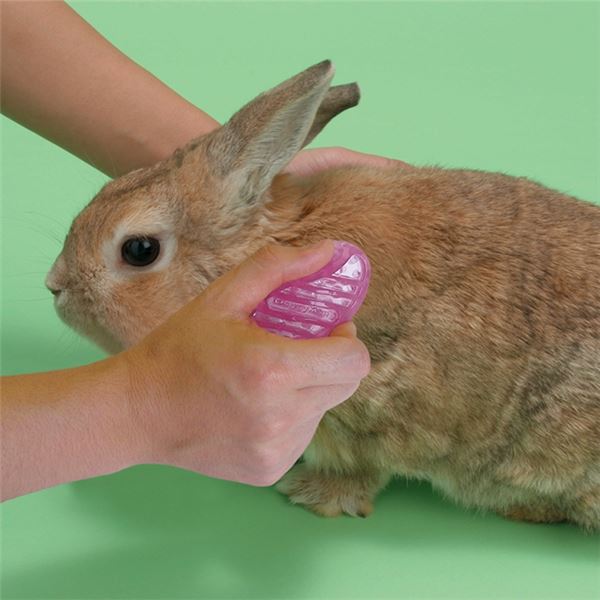 (まとめ)ウサギのビューティーグルーマー【×3セット】 (小動物用品/ブラシ・手入れ用品)【代引不可】