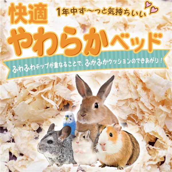 (まとめ)ドギーマンハヤシ 快適 やわらかベッド 小動物用品 【×5セット】【代引不可】