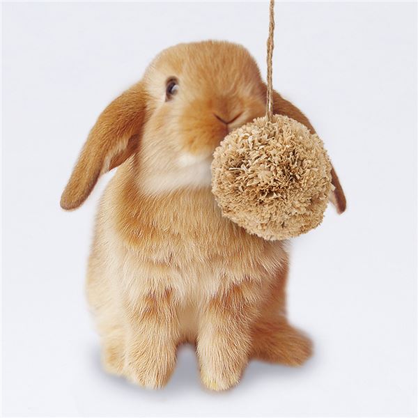 (まとめ)ポンポンフラワー【×5セット】 (小動物用品/玩具)【代引不可】
