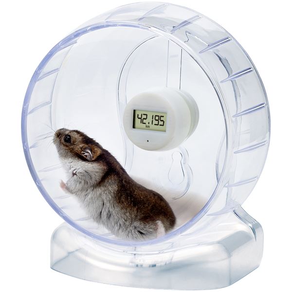 クリーンホイールランニングメーター15 （ペット用品・小動物用）【代引不可】
