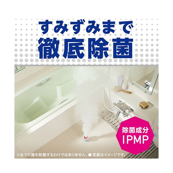 （まとめ） アース製薬らくハピ お風呂カビーヌ くん煙タイプ 無香性 1個 【×3セット】