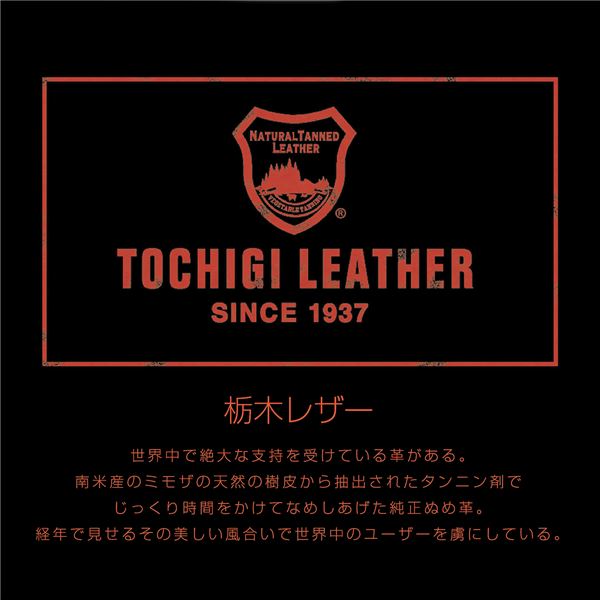アンティークレザースタイルカラー XS レッド (犬用品/首輪)【代引不可】