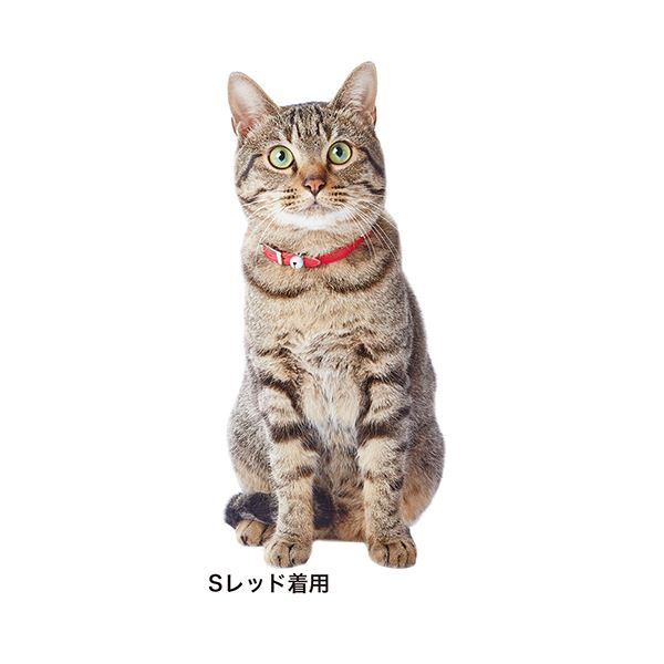 （まとめ）ADD.Mate レザースタイルキャットカラー S レッド 犬具/首輪 【×2セット】【代引不可】