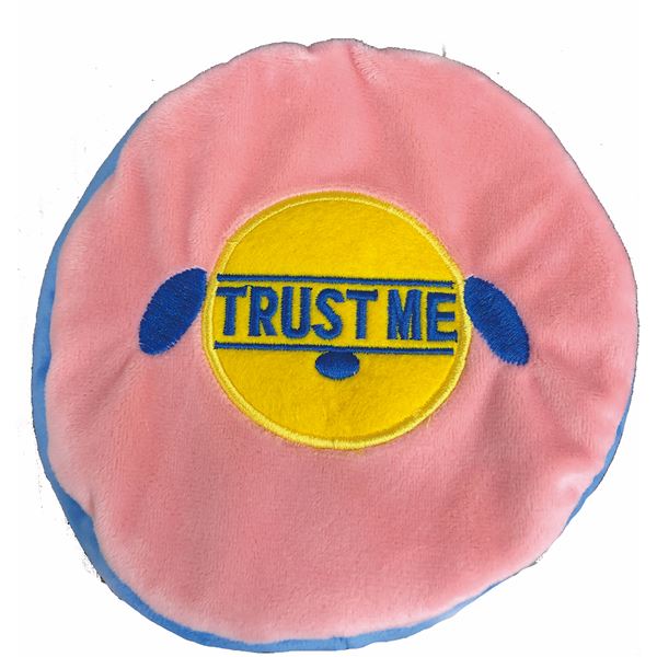 （まとめ） トラストミー レトリーブ 室内用 ディスク フィズ （ペット用品・犬用） 【×2セット】【代引不可】