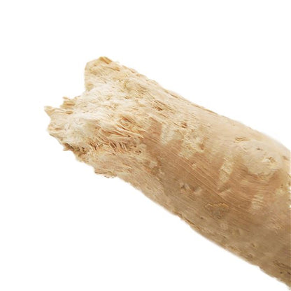 （まとめ） カフェチューウッドM （ペット用品・犬用） 【×2セット】【代引不可】