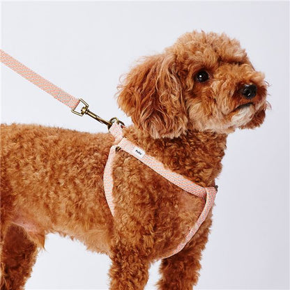 （まとめ）フラッシュソフトリード S ピンク【×2セット】 (犬用品/リード)【代引不可】