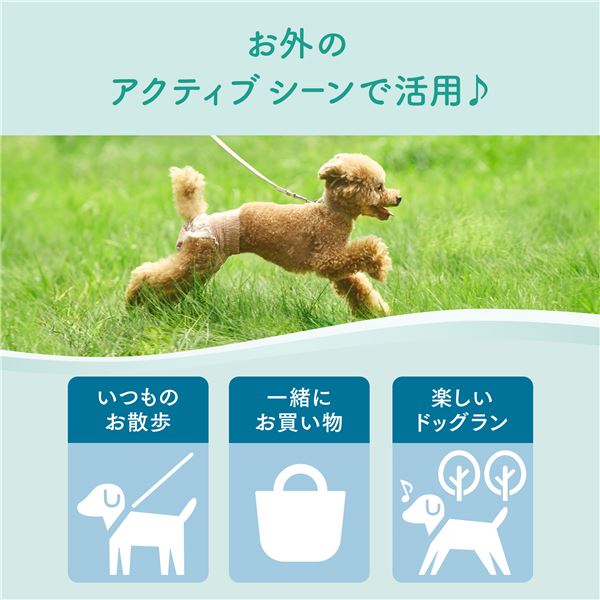 大王製紙 キミおもい アクティブウェア M-L 26枚 （犬用 衛生用品／紙オムツ）【代引不可】