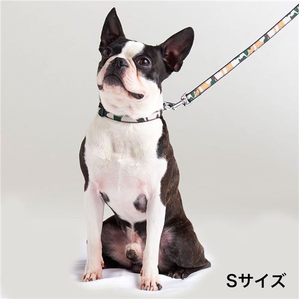（まとめ）EthicalDoor 犬用カラーS 迷彩ブラック【×3セット】 (犬用品/首輪)【代引不可】