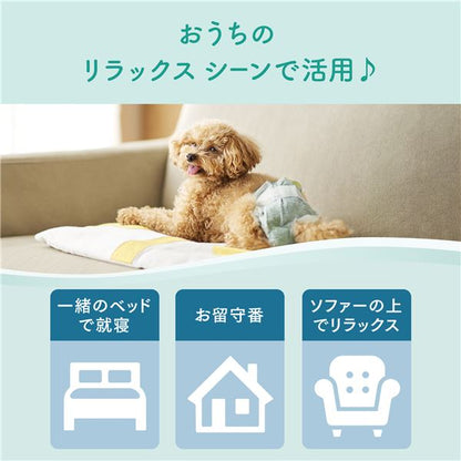 大王製紙 キミおもい リラックスウェア SS 38枚 （犬用 衛生用品／紙オムツ）【代引不可】
