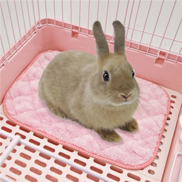 （まとめ）うさちゃんのふんわりプレイマット【×3セット】 (小動物用品)【代引不可】
