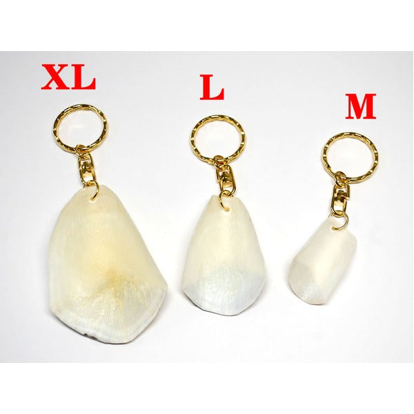 ピラルクのウロコ キーホルダー 【XLサイズ 約6cm 1個】ペルー アマゾン 直輸入 淡水魚 （CITES）取得後の正式輸入品