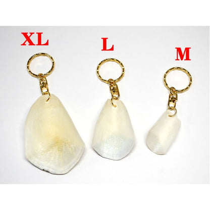 ピラルクのウロコ キーホルダー 【XLサイズ 約6cm 1個】ペルー アマゾン 直輸入 淡水魚 （CITES）取得後の正式輸入品