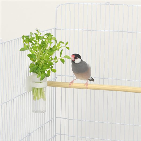 （まとめ）小鳥のベジタブルポット【×5セット】 (鳥用品)【代引不可】