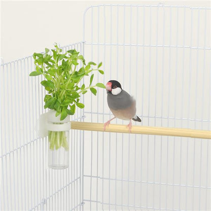 （まとめ）小鳥のベジタブルポット【×5セット】 (鳥用品)【代引不可】