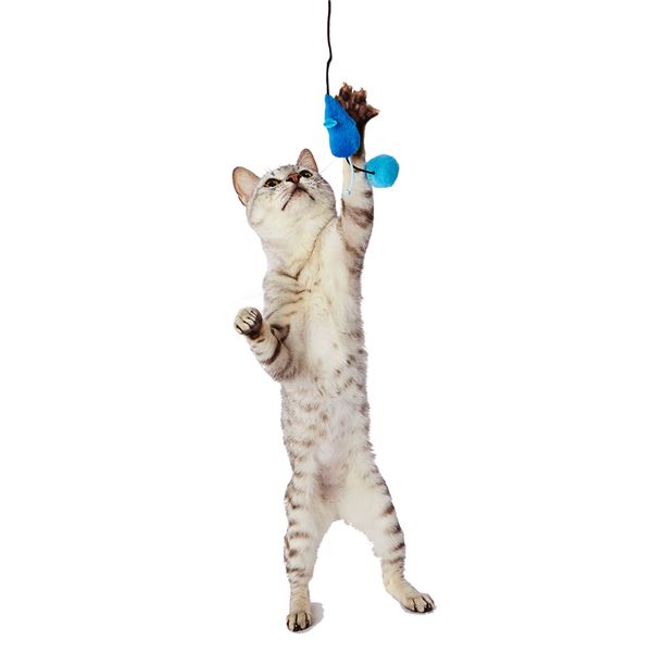 （まとめ）大好きブルーの猫じゃらし マウス＆ボール【×5セット】 (猫用玩具)【代引不可】