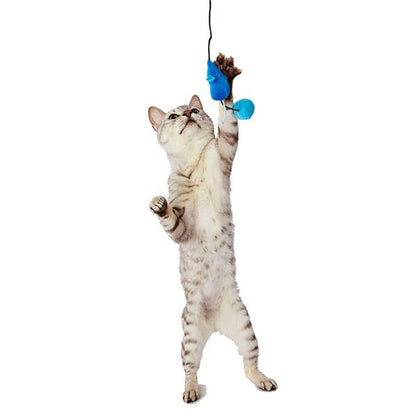 （まとめ）大好きブルーの猫じゃらし マウス＆ボール【×5セット】 (猫用玩具)【代引不可】