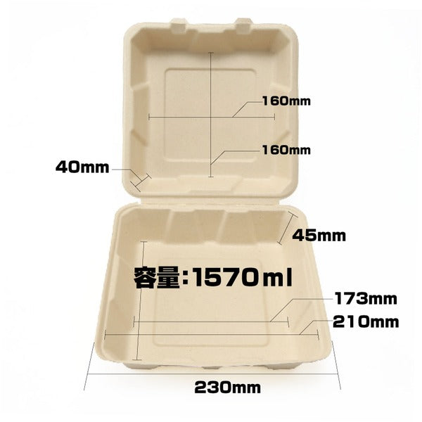 エコフード容器 250×250mm ランチボックス TM-B104 50個×1パック