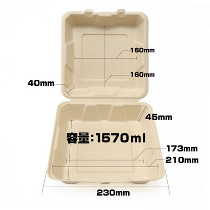 エコフード容器 250×250mm ランチボックス TM-B104 50個×1パック
