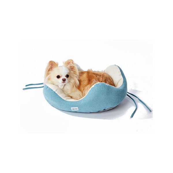 どこからでも乗り降りしやすい パピーベッド ターコイズ (ペット住関連用品/ベット/ベッド)【代引不可】