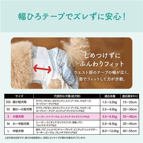 大王製紙 キミおもい リラックスウェア S 36枚 （犬用 衛生用品／紙オムツ）【代引不可】