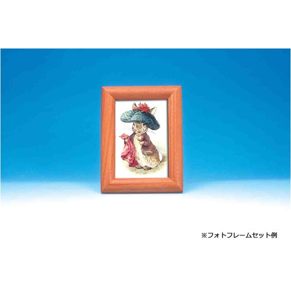 ピーターラビット ポストカード ラビット絵葉書 25枚セット 5種各5枚 絵はがき 絵ハガキ