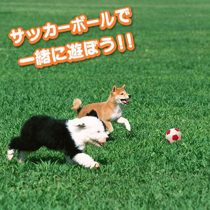 （まとめ）わんわんサッカー ブルー【×3セット】 (犬用玩具)【代引不可】