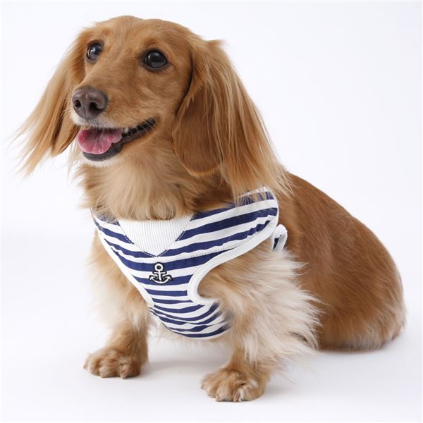 WanWan Casual マリンベストハーネス＆リード SS ブルー (犬用品/リード)【代引不可】