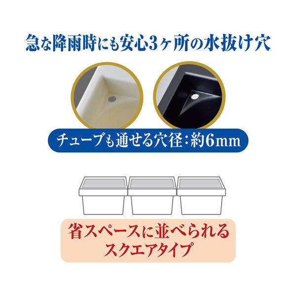 メダカ元気 メダカのための飼育箱 白350 （観賞魚用品／水槽用品）【代引不可】