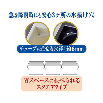 メダカ元気 メダカのための飼育箱 白350 （観賞魚用品／水槽用品）【代引不可】