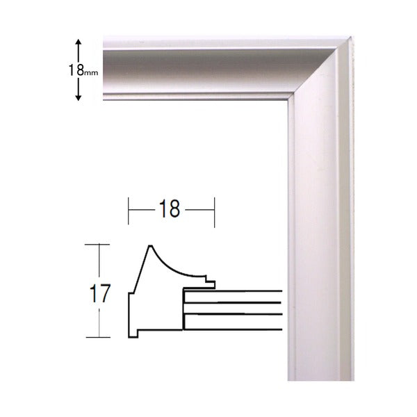 デッサン額縁 額 フレーム 〔 インチサイズ 254×203mm 〕 シルバー 壁掛けひも付き 化粧箱入り 5003